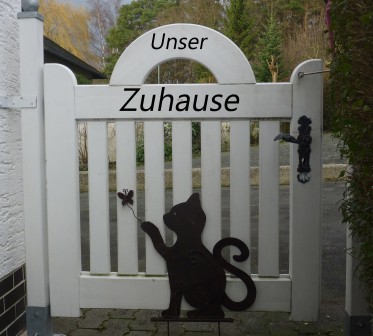 Maine Coon Zucht Hessen 